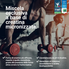 NET Integratori Farmacia CREATINA ALKA 8-200g Gusto Arancia - Creatina Monoidrata Micronizzata Clonapure - Pre-Post Workout per Rapida Produzione Energetica e Crescita Muscolare