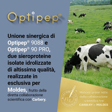 VB WHEY 104 9088 Elite® - 700g Vaniglia - Sieroproteine Idrolizzate in Polvere Optipep 9088 e 90 PRO per Crescita e Recupero Muscolare - Formula ad Elevata Bioattività
