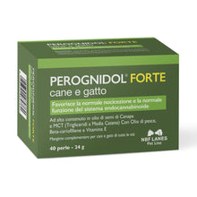 Perognidol FORTE Cane e Gatto, 40 perle, Favorisce la Normale Nocicezione e la Normale Funzione del Sistema Endocannabinoide