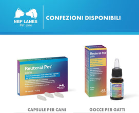NBF Lanes | Reuteral Pet Gatto, Gocce orali, Probiotico a base di fermenti lattici vivi per la stabilizzazione della Flora intestinale nei Gatti
