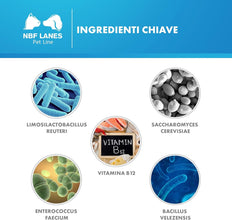 NBF Lanes | Reuteral Pet Cane, 30 Capsule, Probiotico a base di fermenti lattici vivi per la stabilizzazione della Flora intestinale nei Cani