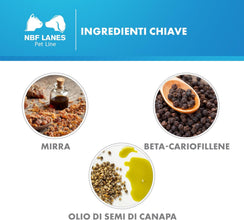 Perognidol FORTE Cane e Gatto, Gocce 15 ml, Favorisce la Normale Nocicezione e la Normale Funzione del Sistema Endocannabinoide