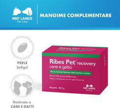 NBF Lanes | Ribes Pet Recovery Cane e Gatto, 60 Perle Appetibili, per la Normale Funzione della Barriera Cutanea