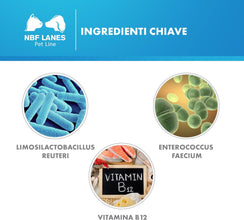 NBF Lanes | Reuteral Pet Gatto, Gocce orali, Probiotico a base di fermenti lattici vivi per la stabilizzazione della Flora intestinale nei Gatti