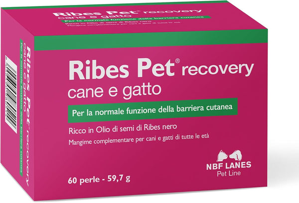 NBF Lanes | Ribes Pet Recovery Cane e Gatto, 60 Perle Appetibili, per la Normale Funzione della Barriera Cutanea