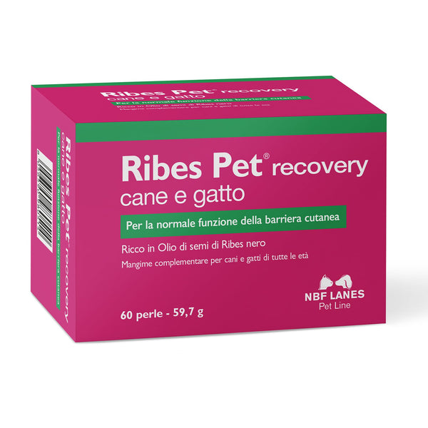 NBF Lanes | Ribes Pet Recovery Cane e Gatto, 60 Perle Appetibili, per la Normale Funzione della Barriera Cutanea