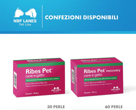 NBF Lanes | Ribes Pet Recovery Cane e Gatto, 60 Perle Appetibili, per la Normale Funzione della Barriera Cutanea
