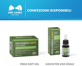 Perognidol FORTE Cane e Gatto, 40 perle, Favorisce la Normale Nocicezione e la Normale Funzione del Sistema Endocannabinoide