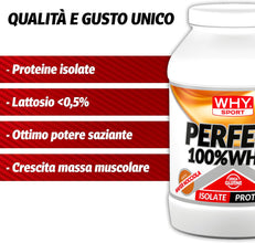 WHY SPORT PERFECT 100% WHEY - Proteine Whey - Proteine Isolate - Proteine in Polvere con Aminoacidi Essenziali per la Massa Muscolare - Gusto Cioccolato al Latte - 900 gr