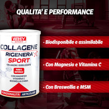 WHY SPORT COLLAGENE RIGENERA SPORT - Collagene Idrolizzato Puro e Naturale - Con Magnesio, Vitamina C, Boswellia e MSM - Integratori Alimentari - Integratore Articolare - Gusto Neutro - 336 gr