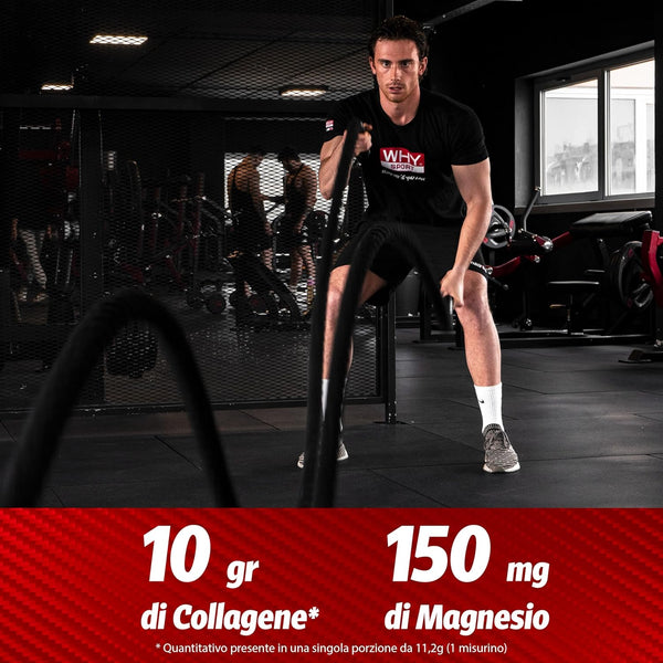 WHY SPORT COLLAGENE RIGENERA SPORT - Collagene Idrolizzato Puro e Naturale - Con Magnesio, Vitamina C, Boswellia e MSM - Integratori Alimentari - Integratore Articolare - Gusto Neutro - 336 gr