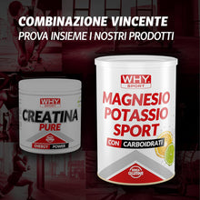 WHY SPORT CREATINA PURE - Creatina Monoidrato - Pre Workout - Integratore Alimentare a Base di Creatina Monoidrato Creapure - 300 g