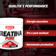 WHY SPORT CREATINA PURE - Creatina Monoidrato - Pre Workout - Integratore Alimentare a Base di Creatina Monoidrato Creapure - 300 g