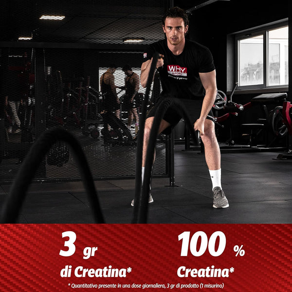 WHY SPORT CREATINA PURE - Creatina Monoidrato - Pre Workout - Integratore Alimentare a Base di Creatina Monoidrato Creapure - 300 g