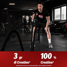 WHY SPORT CREATINA PURE - Creatina Monoidrato - Pre Workout - Integratore Alimentare a Base di Creatina Monoidrato Creapure - 300 g